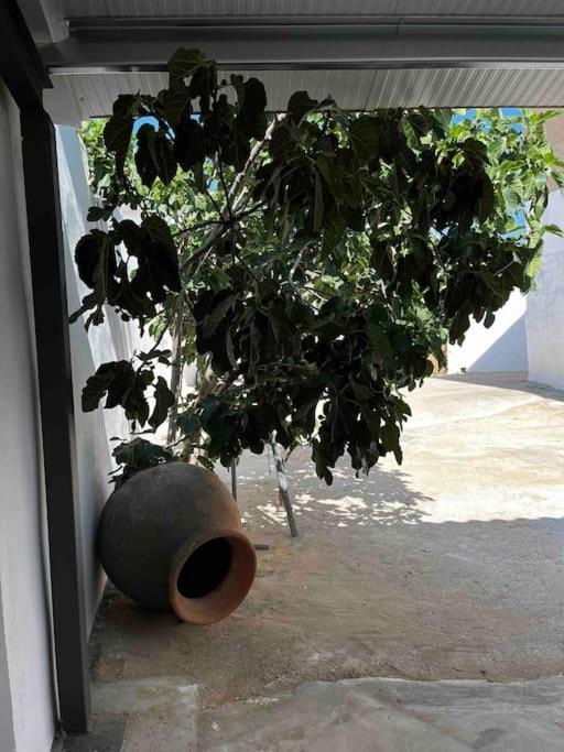 Agradable Casa Con Chimenea Interior Y Barbacoa. Βίλα Graja de Iniesta Εξωτερικό φωτογραφία
